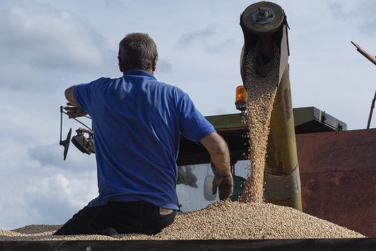Dėl šio uždarbio žmonės net ima neapmokamas atostogas: mėnesinė alga – panaši kaip Seimo nario
