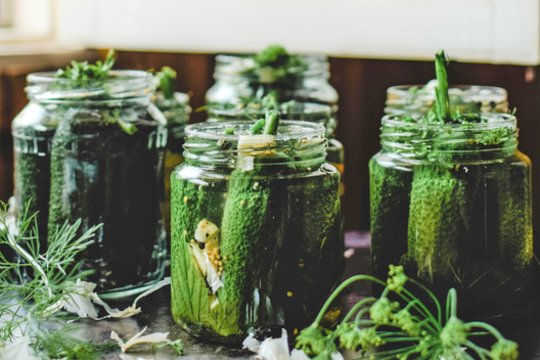 Kad rauginti agurkai būtų traškūs, prireiks paprastos gudrybės