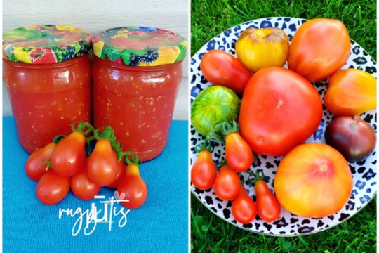 Prieš marinuojant pomidorus viršūnėlėse įpjauna kryžiuką: visada pavyksta skaniausi