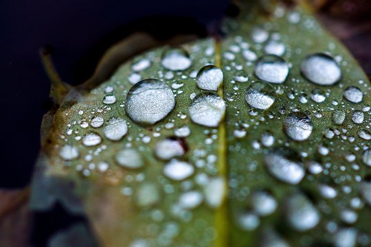 Vardų reikšmės: lapkričio 17–23 d. varduvininkai