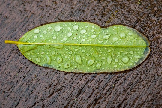 Vardų reikšmės: lapkričio 24–30 d. varduvininkai