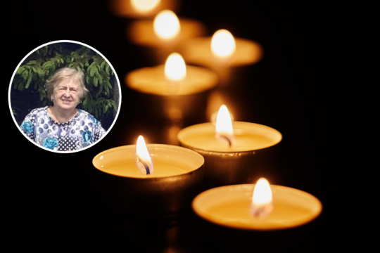 Mirė gerbiama Lietuvos redaktorė Dalija Drevinskaitė-Gudliauskienė