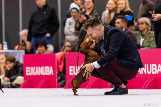 Holanas – istoriją Lietuvos kinologijoje parrašęs taksas