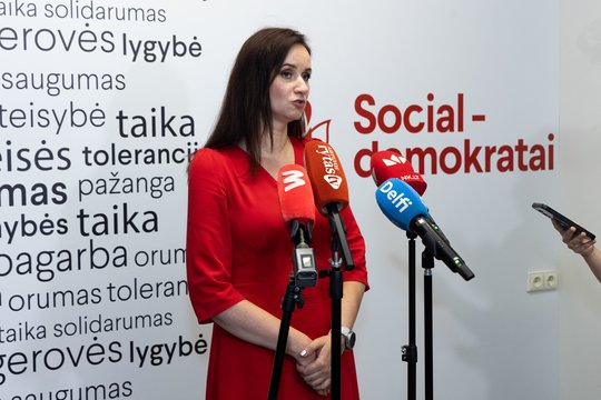 I. Ruginienė užtikrinta savo jėgomis: esu pasiruošusi įrodyti savo kandidatūrą