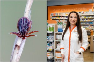 Laimo liga: kodėl neverta tikrintis iškart po erkės įkandimo?