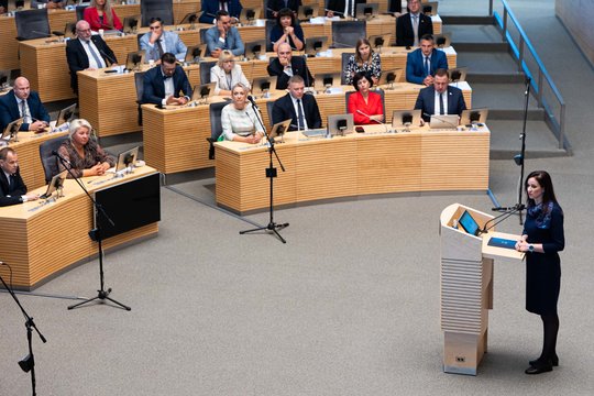 M. Lingė netiki I. Ruginienės vertybėmis: ji vienintelė suabejojo siūlymu dėl gynybos