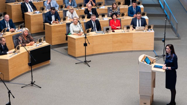 M. Lingė netiki I. Ruginienės vertybėmis: ji vienintelė suabejojo siūlymu dėl gynybos