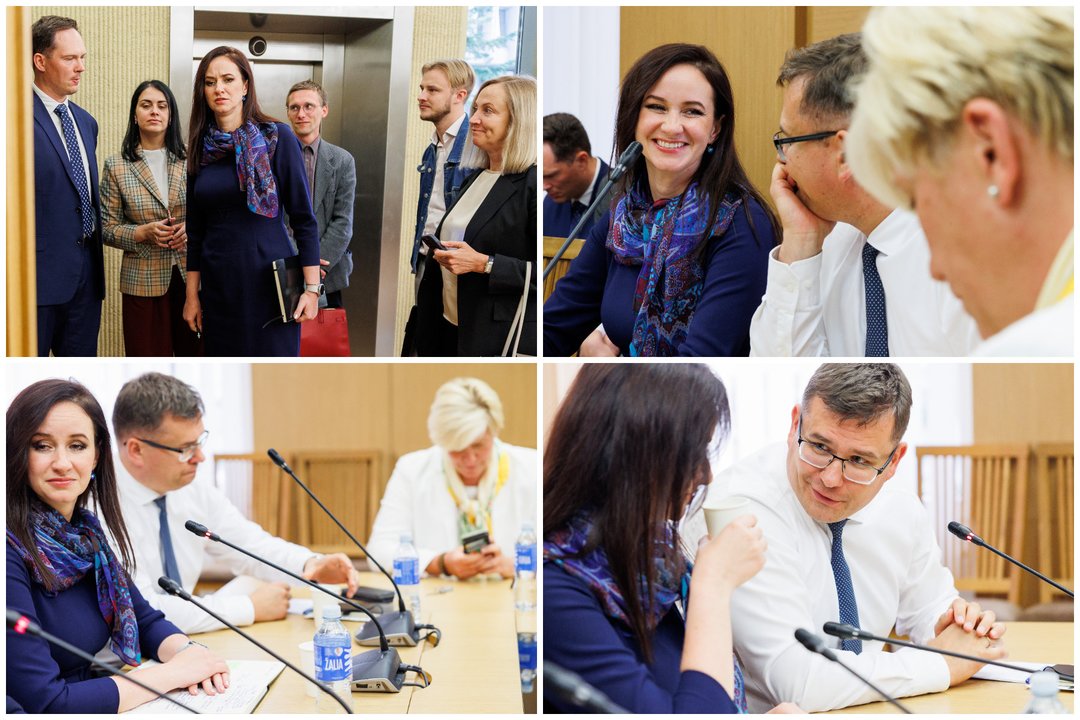  I. Ruginienė pas konservatorius.<br> Lrytas koliažas