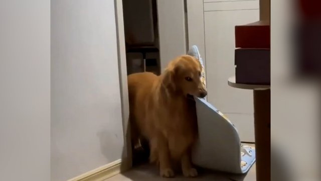 Kai audra išgąsdina – telieka vienintelė išeitis: nepamiršo ir čiužinio pasiimti