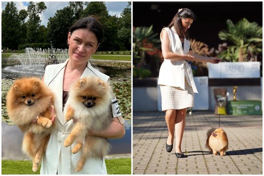 Veisėjos iš Vilniaus namuose karaliauja 5 ypatingi šunys: pasidalijo savo įkvepiančia patirtimi