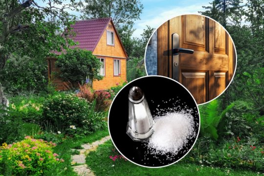 Pabarstykite šiek tiek druskos prie slenksčio: nustebsite, kodėl tai būtina padaryti