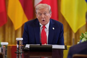 Gali paaiškėti netikėtas scenarijus: dalis susitarimų dėl muitų su JAV – neįgyvendinami