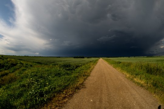 Žinia nuo liūčių nukentėjusiems ūkininkams – ministerija žada paramą