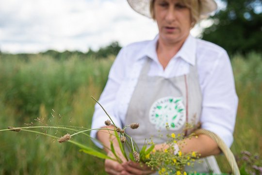 Žolininkė dėl šiųmečio derliaus kraipo galvą: praradimai – ne tik dėl orų