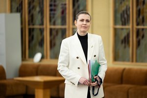 D. Šakalienė: pasirašysime ketinimų protokolą dėl Ukrainos ginkluotės gamybos Lietuvoje