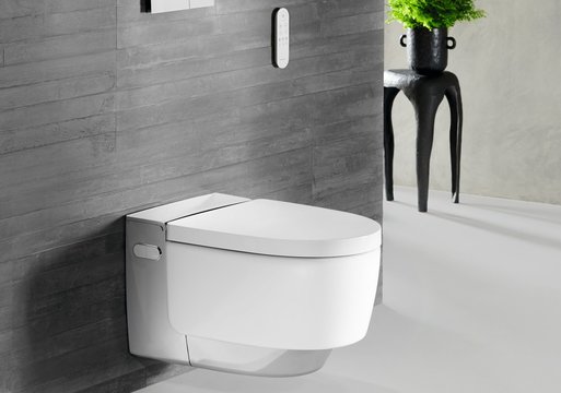 Moterų higiena po gimdymo: kaip pažangūs WC su integruotu bidė iš esmės keičia higienos standartus