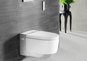 Moterų higiena po gimdymo: kaip pažangūs WC su integruotu bidė iš esmės keičia higienos standartus