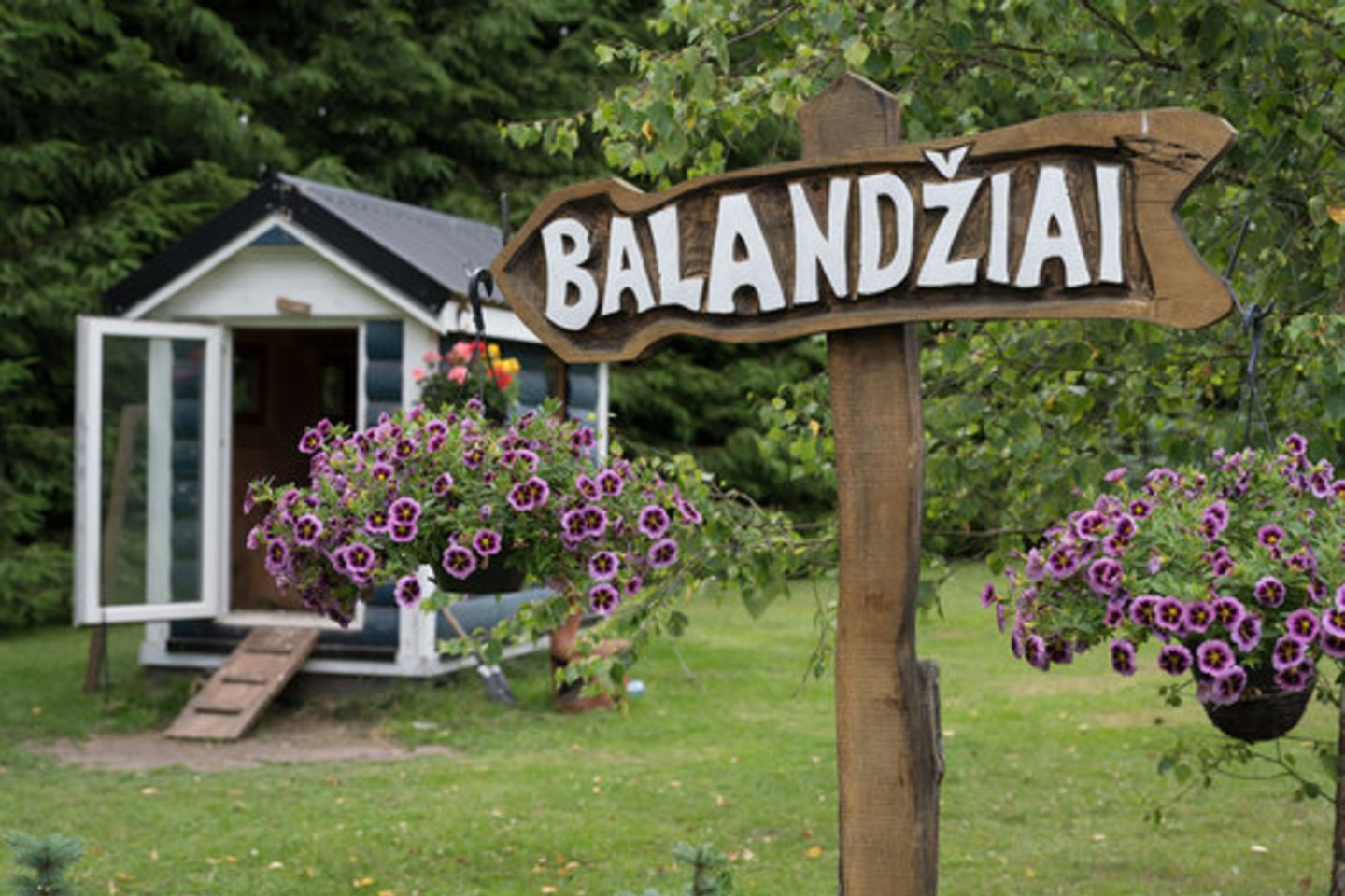 Violeta Athorn su britu vyru čia gyvena ir įvairiausius gyvūnus laiko jau dešimt metų, tik pernai ryžosi savo augintinius parodyti ir kitiems.<br> „Vakarų ekspreso“/ V. Jurevičienės nuotr.