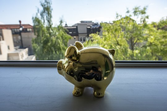 Japonai tokiu būdu reguliariai papildo savo taupyklę: pabandykite – galbūt pavyks ir jums