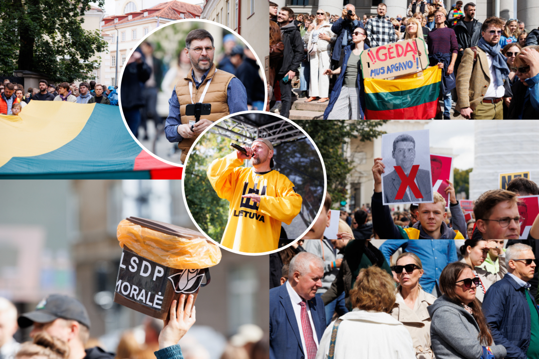 Grandiozinis protestas „Gėdos diena“<br>Lrytas koliažas