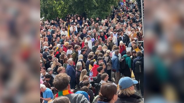 Mitingą prie Seimo aptemdė nemalonumas: nualpus senjorui stojo mirtina tyla