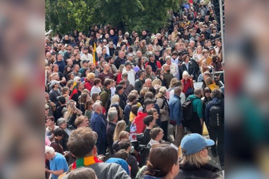 Mitingą prie Seimo aptemdė nemalonumas: nualpus senjorui stojo mirtina tyla