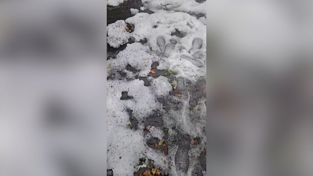 Gyventojai dalijasi dar viena gamtos staigmena: dėl krušos ledėkų vietomis ant kelio susidarė net provėžos