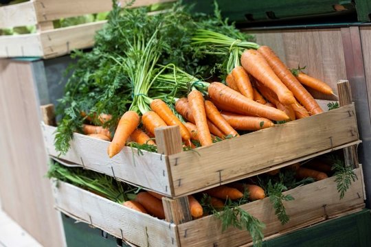 Kiekvienas kąsnis – tarsi ką tik iš ūkio: kaip „Lidl“ užtikrina vaisių ir daržovių šviežumą?