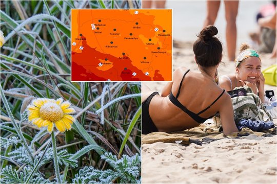 Sinoptikai įspėja – šią naktį kai kur numatoma šalna, bet yra ir gerų žinių