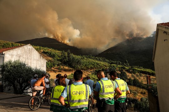 Tragiški metai Europai: miškų gaisrai jau sunaikino virš milijono hektarų žemės