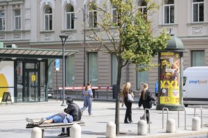 Vėl merdi prospekto liepos: medžius mėgins gaivinti, bet istorija rodo – viltys menkos