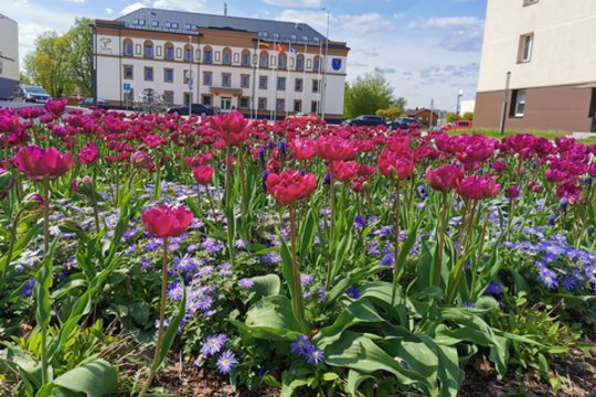 Varėna nustebino: gatvė virto parku su fontanais, bitėmis ir gėlių žiedais