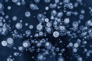 Po 100 000 metų, praleistų lede – vis dar gyvi: kaip tai įmanoma?