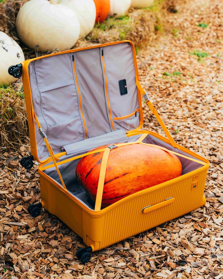 Patvarūs, stilingi lagaminai ir kuprinės užtikrina patogesnes bei malonesnes keliones.