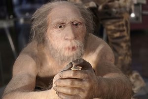 Senovės kulinarija: skirtingos neandertaliečių grupės su maistu elgėsi skirtingai