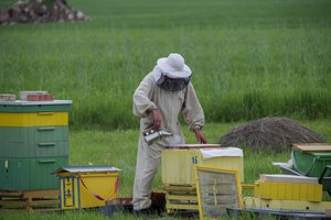 Bitininkai turėtų paskubėti: nuo rugsėjo 1 d. jiems skiriama parama, numatyta išdalinti 750 tūkst. eurų