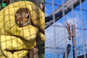 Klaipėdos zoologijos sode – dar vienas AAD vizitas: paimta beveik 50 gyvūnų