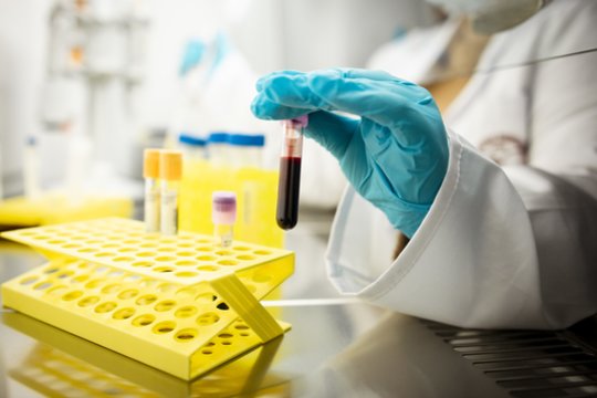 Prasideda pilietinė akcija „Gyvoji Lietuvos ABC“: kviečia jungtis visą visuomenę