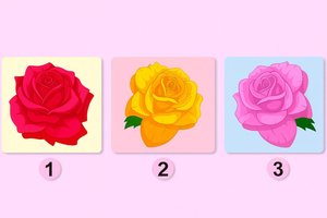 Į kurią rožę pirmiausia nukrypo žvilgsnis? Atsakę kartu su partneriu sužinosite stulbinančias išvadas