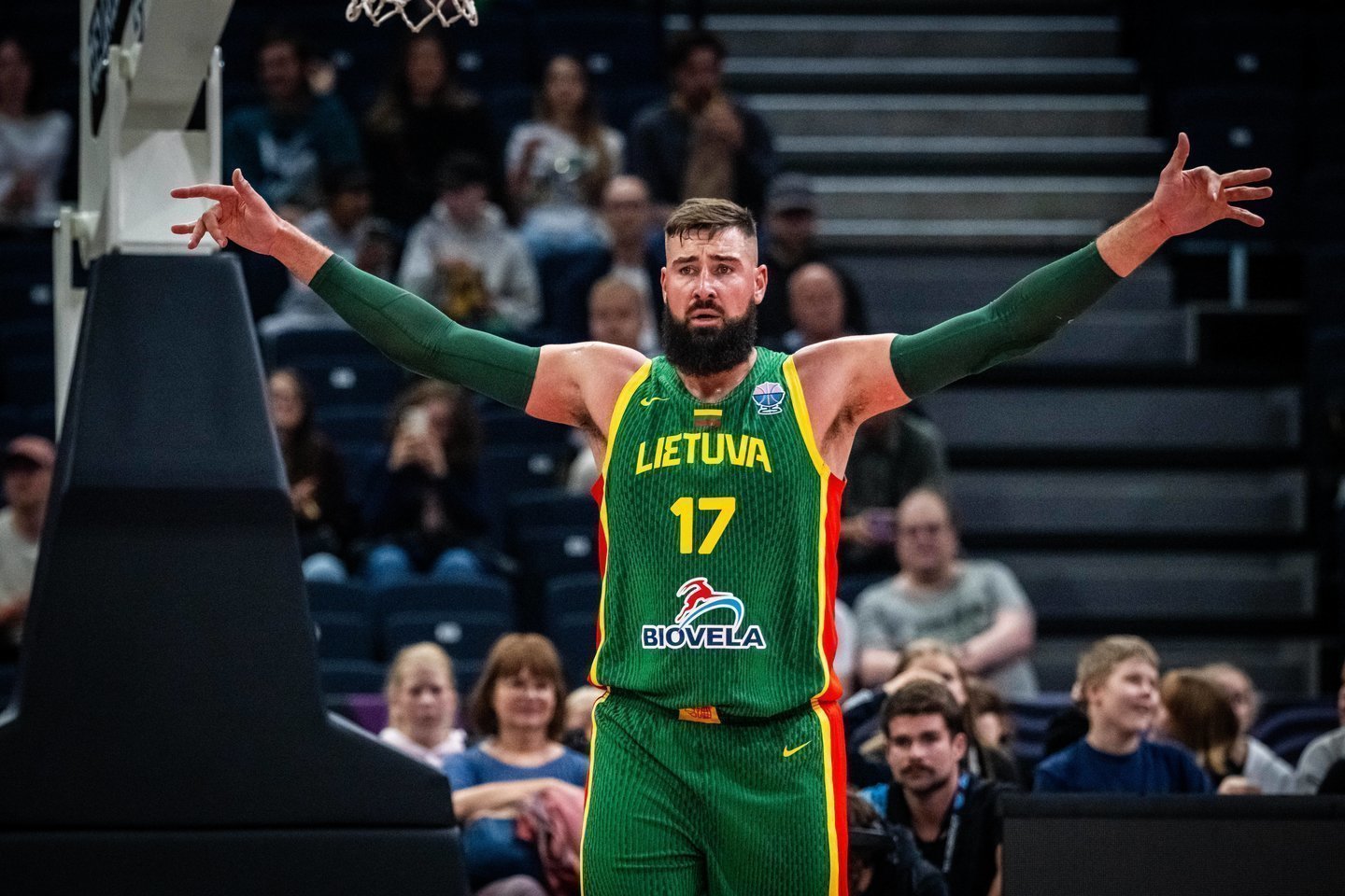 Lietuvos ir Suomijos rinktinių rungtynės.<br>FIBA nuotr.