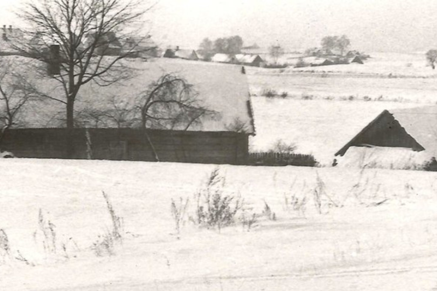 Wacławos (ponios Wacios) ir Wiktoro Gulbickių sodyba. Tolumoje, arčiau Vilniaus, matyti kaimynų Mieczkowskių namai. 1968 m. žiema.<br>Leidėjų nuotr.