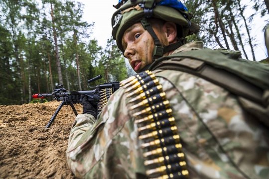 R. Vaikšnoras palaikytų karių siuntimą į Ukrainą, bet yra viena sąlyga