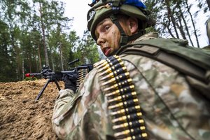 R. Vaikšnoras palaikytų karių siuntimą į Ukrainą, bet yra viena sąlyga