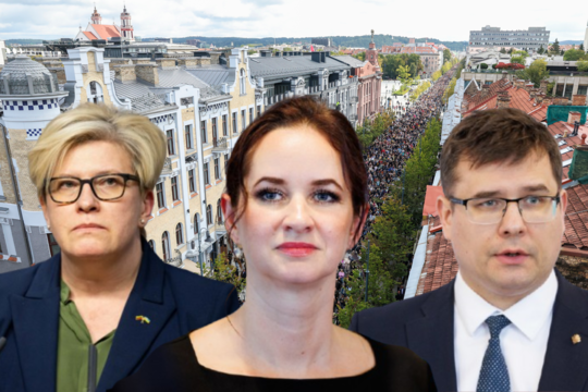 Po griežtų konservatorių smūgių – I. Ruginienės atkirtis: to padaryti nepavyks