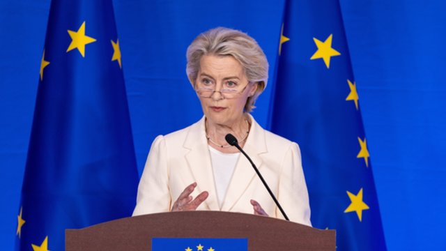 Ekspertas prakalbo apie ES silpnumo ženklą: iš labai blogos situacijos bando išgauti naudą