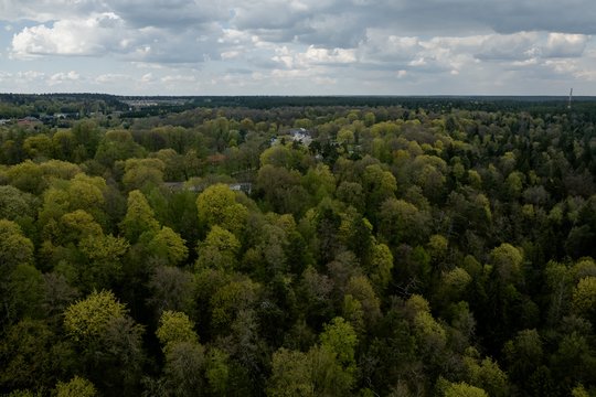 Miškų sektoriaus atstovai kreipiasi į valdžią dėl ilgalaikės ūkio strategijos ir reguliavimo