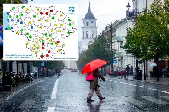 Tokios vėsios vasaros nematėme jau seniai: paskutinį kartą pasitaikė beveik prieš 10-metį