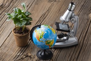 „Žinovų klubo“ testas. Ar žinote ką tiria skirtingi mokslai ir jų šakos?