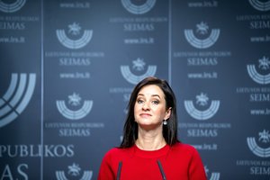 I. Ruginienė: man atrodo, kad opozicija išsigando