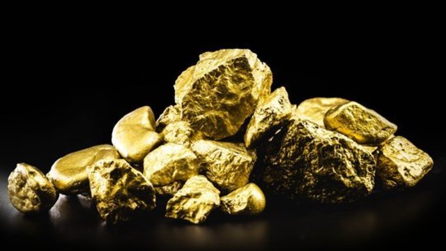 Viena paklausiausių investicijų pasiekė visų laikų rekordą